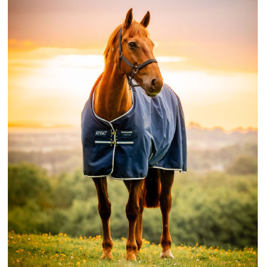 Capa Horseware Amigo Ripstop 900D Pônei Turnout 0g Marine witney Azul-marinho
