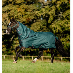 Capa Horseware Amigo Ripstop 900D Plus Pônei Turnout 0g Dinastia verde / marinho / prateado