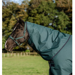 Capa Horseware Amigo Ripstop 900D Plus Pônei Turnout 0g Dinastia verde / marinho / prateado