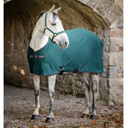 Capa Horseware Amigo Jersey Poney Cooler Dinastia verde / marinho / prateado