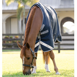 Manta de Equitação Horseware Amigo 1200D 250g impermeável Manta de Equitação Horseware Amigo 1200D 250g impermeável
