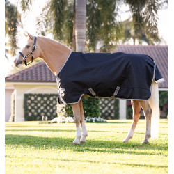 Capa Horseware Amigo 1200D Pônei Turnout 50g Preto / cinza titânio / prata Capa Horseware Amigo 1200D Pônei Turnout 50g Preto / cinza titânio / prata