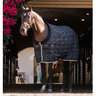 Manta de estábulo pônei 250g Horseware Rhino | Equitação