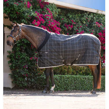 Manta de estábulo pônei 250g Horseware Rhino | Equitação