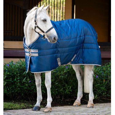 Cobertura de estábulo Horseware Amigo Ripstop Insulator Pônei 100g Marinho / cinza titânio Azul-marinho Cobertura de estábulo Horseware Amigo Ripstop Insulator Pônei 100g Marinho / cinza titânio Azul-marinho