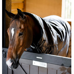 Cobertura de estábulo Horseware Amigo Ripstop Insulator Plus 200g Preto / preto / prata Cobertura de estábulo Horseware Amigo Ripstop Insulator Plus 200g Preto / preto / prata