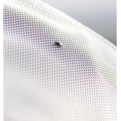 Capa anti-moscas Horseware Rambo Protector disco Prata / marinho