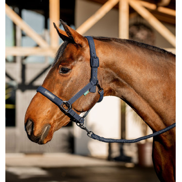 Cabresto e Guia de Equitação Amigo Horseware | EQUI-CLIC