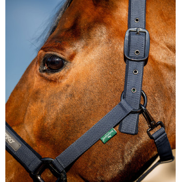 Cabresto e Guia de Equitação Amigo Horseware | EQUI-CLIC