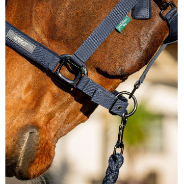 Cabresto e Guia de Equitação Amigo Horseware | EQUI-CLIC
