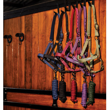 Cabresto e Guia de Equitação Amigo Horseware | EQUI-CLIC