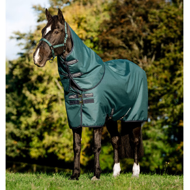 Cobertura Amigo Ripstop Horseware 900D Plus Turnout 200g Dinastia verde / marinho / prateado