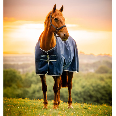 Manta de Equitação Impermeável Horseware 900D
