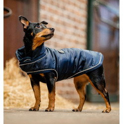 Capa térmica 200g para cão - uso equestre