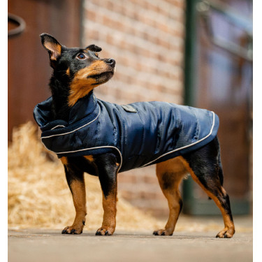 Capa térmica 200g para cão - uso equestre