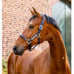 Caveção anatómico para competição equestre