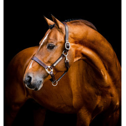 Cabeçada de couro Horseware Signature Castanho Cabeçada de couro Horseware Signature Castanho