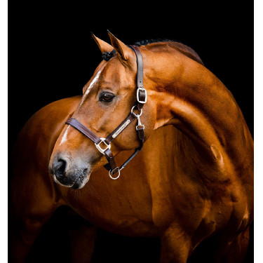 Cabeçada de couro Horseware Signature Castanho