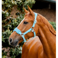 Cabresto Horseware de escovagem Signature Bruma azul