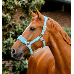 Cabresto Horseware de escovagem Signature Bruma azul