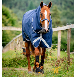 Capa Horseware Amigo 1200D Plus Turnout Bundle 50g 100g e 200g Marinho / cinza titânio / prata Azul-marinho Capa Horseware Amigo 1200D Plus Turnout Bundle 50g 100g e 200g Marinho / cinza titânio / prata Azul-marinho
