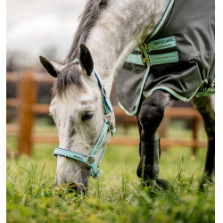 Cabeçada Especial para Pastagem Horseware® Fieldsafe Névoa azul