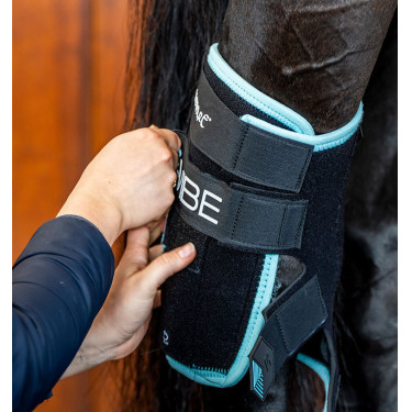 Protetores de Jarrete para Cavalo com Crioterapia