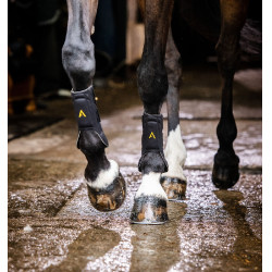 Guêtres Horseware Adagio Preto / amarelo