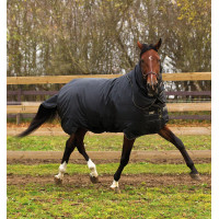 Cobertura Horseware Trot Plus com protetor de pescoço 350g Preto / preto / castanho