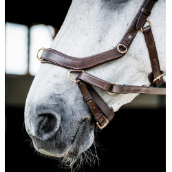 Bridão Horseware Micklem 2 Multi Havana escuro Castanho