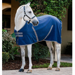 Cobertura de box Horseware Rambo forro de microfibra Marinho / tempestade / cinza prateado Azul-marinho Cobertura de box Horseware Rambo forro de microfibra Marinho / tempestade / cinza prateado Azul-marinho