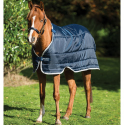 Forro de manta equestre pônei 100g Horseware