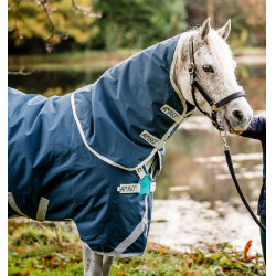 Cobertura Horseware Amigo AmEco 12 Plus 100g Verde-azulado / cinza Cobertura Horseware Amigo AmEco 12 Plus 100g Verde-azulado / cinza
