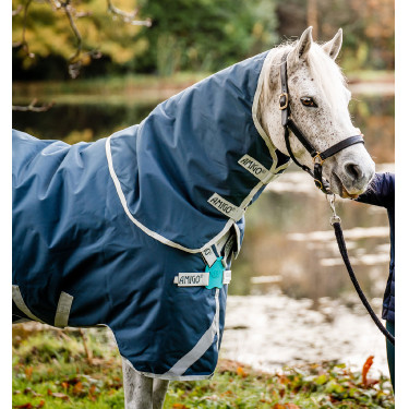 Cobertura Horseware Amigo AmEco 12 Plus 100g Verde-azulado / cinza Cobertura Horseware Amigo AmEco 12 Plus 100g Verde-azulado / cinza