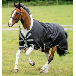 Capa de Equitação Impermeável XL para Cavalos Grandes