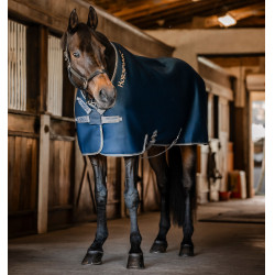 Camisa secante Horseware Rambo Airmax Cooler Disc Marinho / tempestade / cinza prateado Azul-marinho