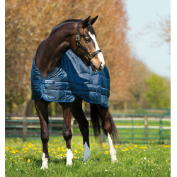 Manta impermeável de equitação Rambo Duo Horseware