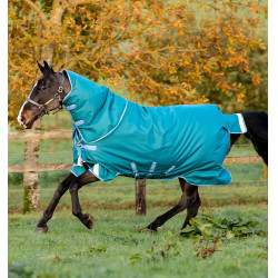 Capa Horseware Amigo® Bravo 12 Plus 400g 1200D Verde / turquesa Capa Horseware Amigo® Bravo 12 Plus 400g 1200D Verde / turquesa
