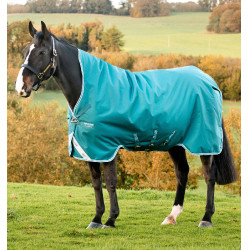 Cobertura Horseware High Neck Amigo® Bravo 12 Original 250g 1200D Verde / água
