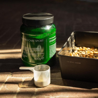 Suplemento equino digestivo Kentucky Gastro Sport | Equitação Suplemento equino digestivo Kentucky Gastro Sport | Equitação