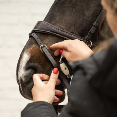 Embocadura Eggbut Flex Soft Velari para equitação