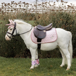 Sela Kentucky Cabeça de Unicórnio com Brilhantes Rosa claro