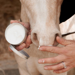 Protetor solar equino FPS 30+ Kentucky Grooming Deluxe