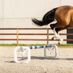 Cavaletti alumínio Square Grooming Deluxe da Kentucky por 2 Branco
