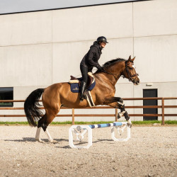 Cavaletti alumínio Square Grooming Deluxe da Kentucky por 2 Branco