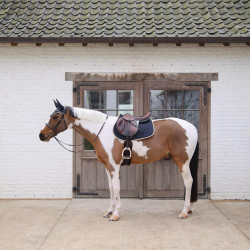 Tapete de sela salto equitação Kentucky Softshell