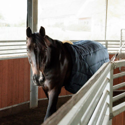 Cinta de caminhada equestre Kentucky em pele sintética Cinta de caminhada equestre Kentucky em pele sintética