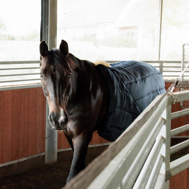 Cinta de caminhada equestre Kentucky em pele sintética Cinta de caminhada equestre Kentucky em pele sintética