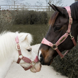 Cabeçada de estábulo em veludo Unicorn Kentucky – equitação