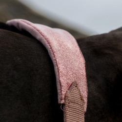 Cabeçada de estábulo em veludo Unicorn Kentucky – equitação